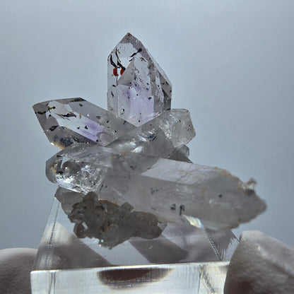 Harlekin Phantom Amethyst mit Epidot Stufe Streep Mine Goboboseb Namibia 36*27*23mm