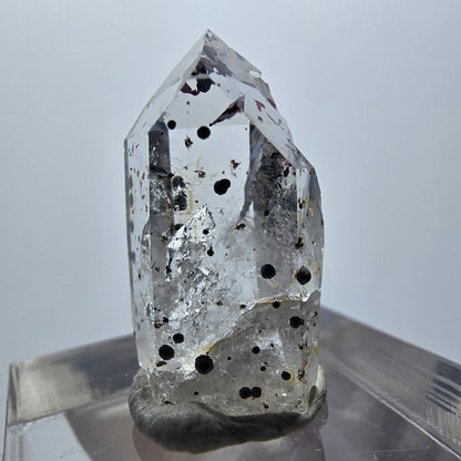 Harlekin Phantom Quarz Spitze Streep Mine Goboboseb Namibia 23*13*10mm