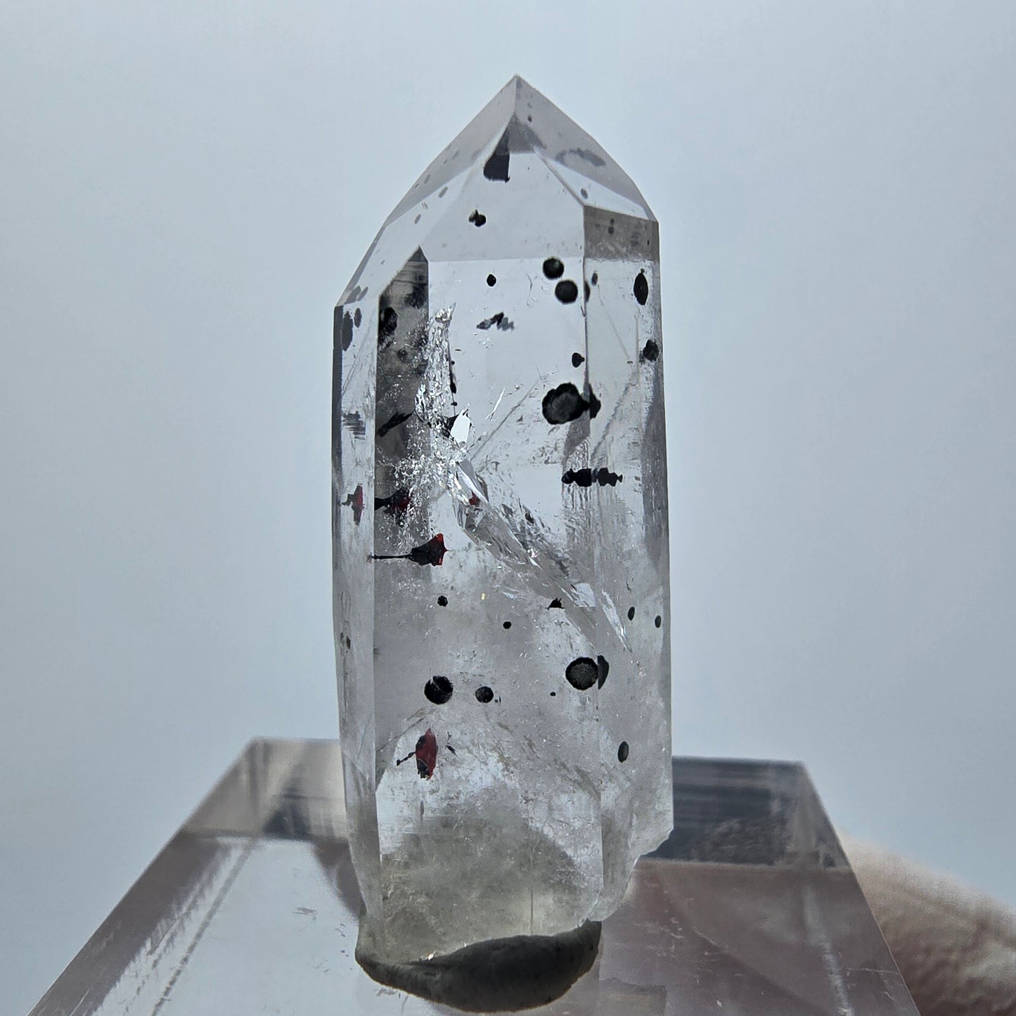 Harlekin Phantom Quarz Spitze Streep Mine Goboboseb Namibia 30*12*10mm