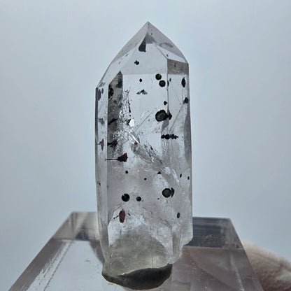 Harlekin Phantom Quarz Spitze Streep Mine Goboboseb Namibia 30*12*10mm