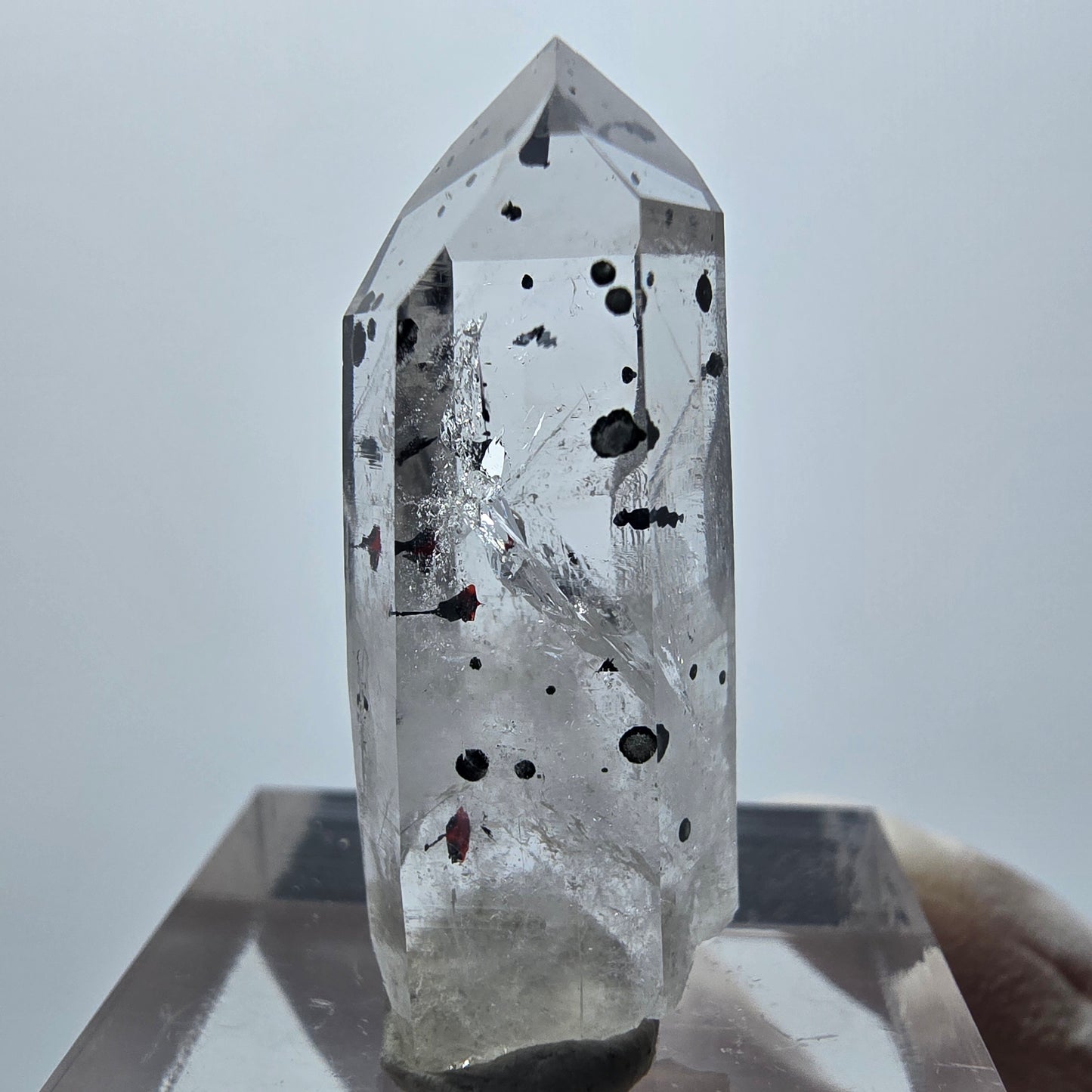 Harlekin Phantom Quarz Spitze Streep Mine Goboboseb Namibia 30*12*10mm