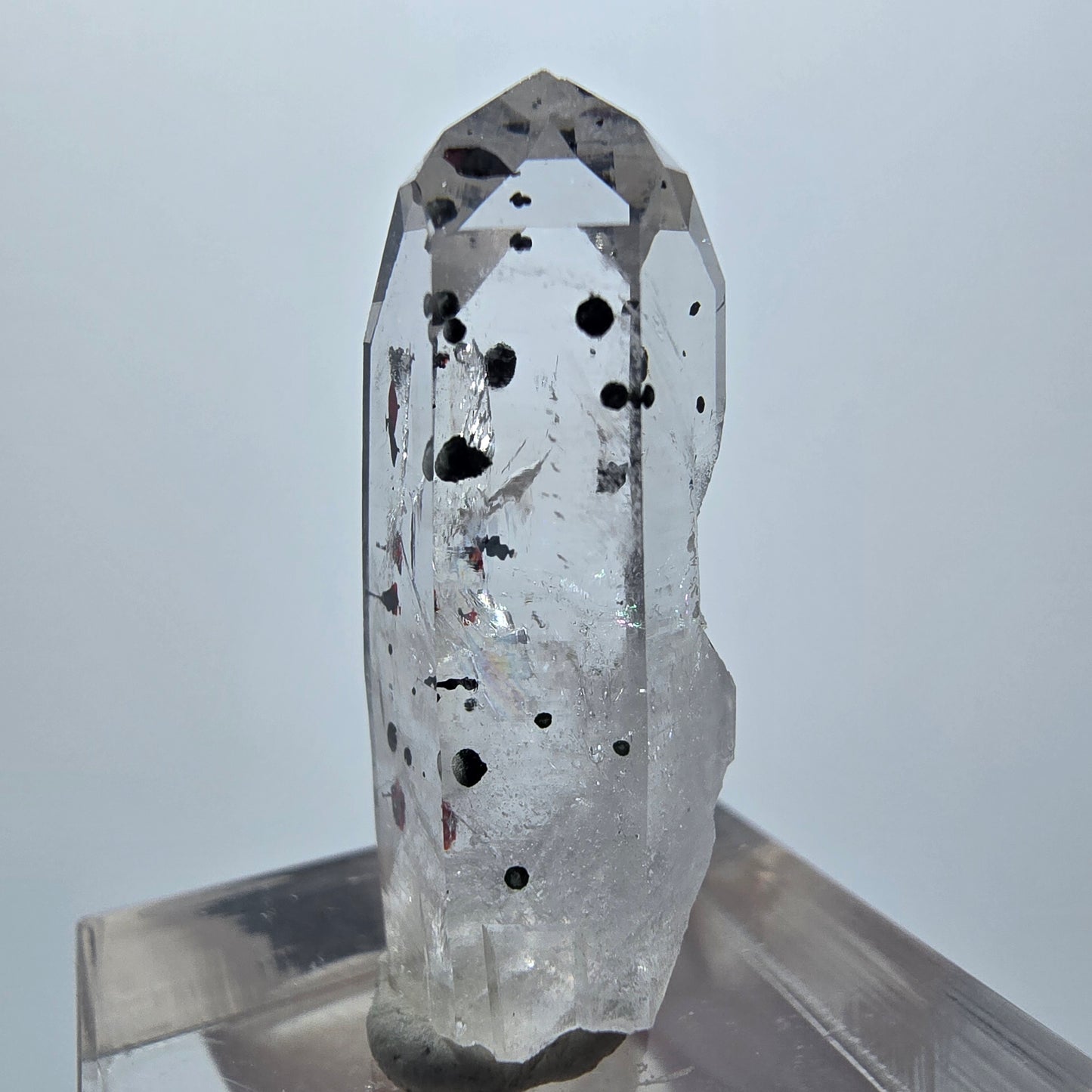 Harlekin Phantom Quarz Spitze Streep Mine Goboboseb Namibia 30*12*10mm