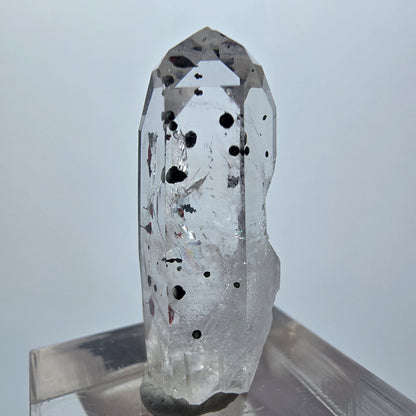 Harlekin Phantom Quarz Spitze Streep Mine Goboboseb Namibia 30*12*10mm