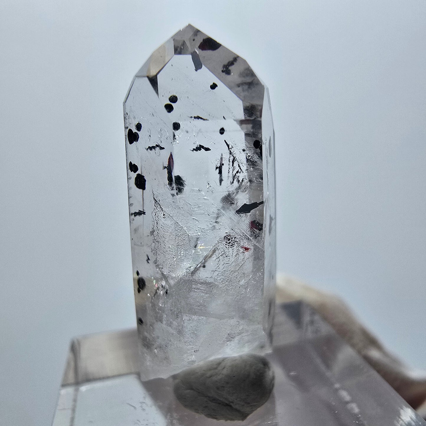 Harlekin Phantom Quarz Spitze Streep Mine Goboboseb Namibia 30*12*10mm