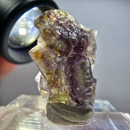 Rare phantom fluorite cube specimen, purple, green, yellow, Erongo, Namibia, 24*15*14mm 
