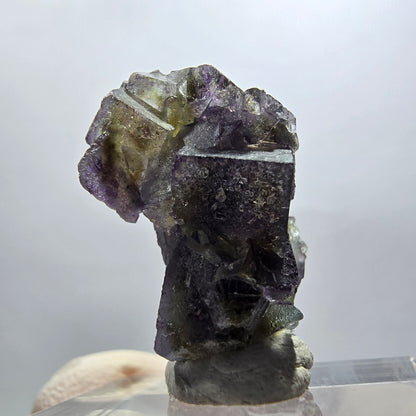Rare phantom fluorite cube specimen, purple, green, yellow, Erongo, Namibia, 24*15*14mm 