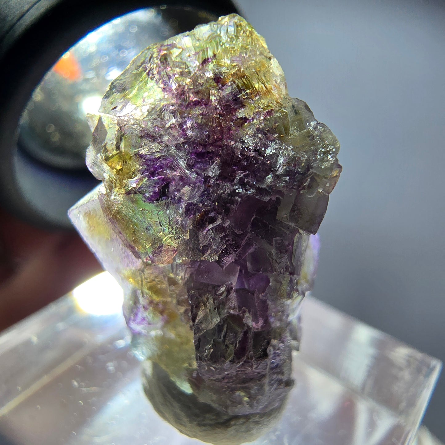 Rare phantom fluorite cube specimen, purple, green, yellow, Erongo, Namibia, 24*15*14mm 