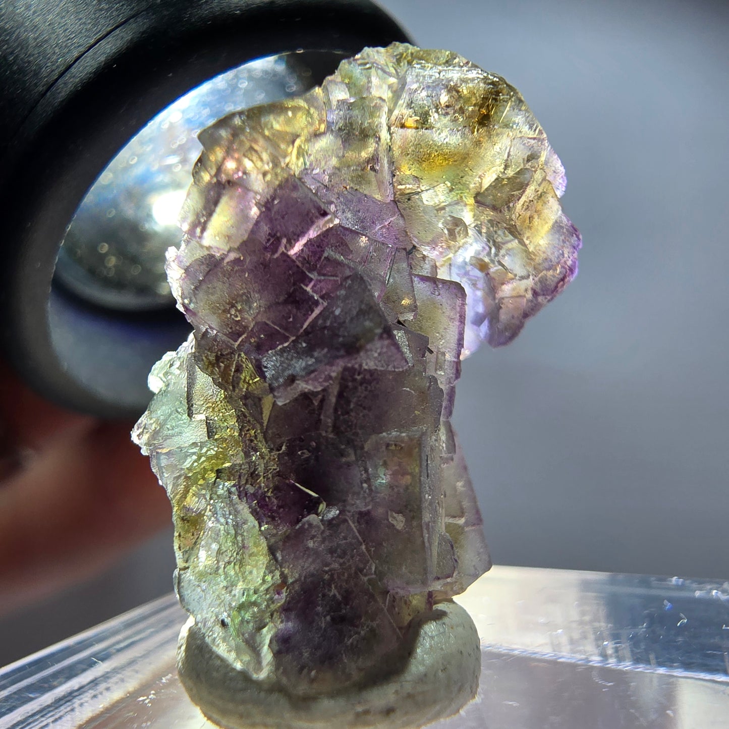 Rare phantom fluorite cube specimen, purple, green, yellow, Erongo, Namibia, 24*15*14mm 