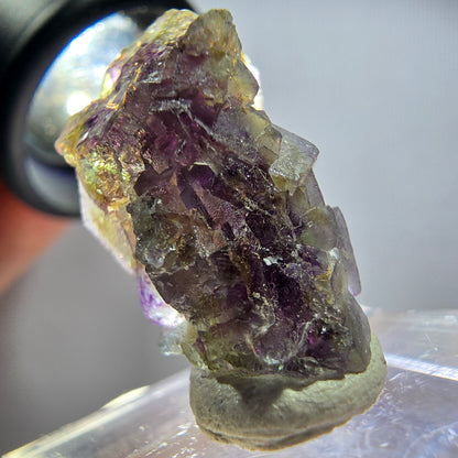 Rare phantom fluorite cube specimen, purple, green, yellow, Erongo, Namibia, 24*15*14mm 