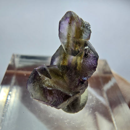 Seltene Phantom Fluorit Würfel Stufe, lila grün gelb Erongo, Namibia 18*10*9mm