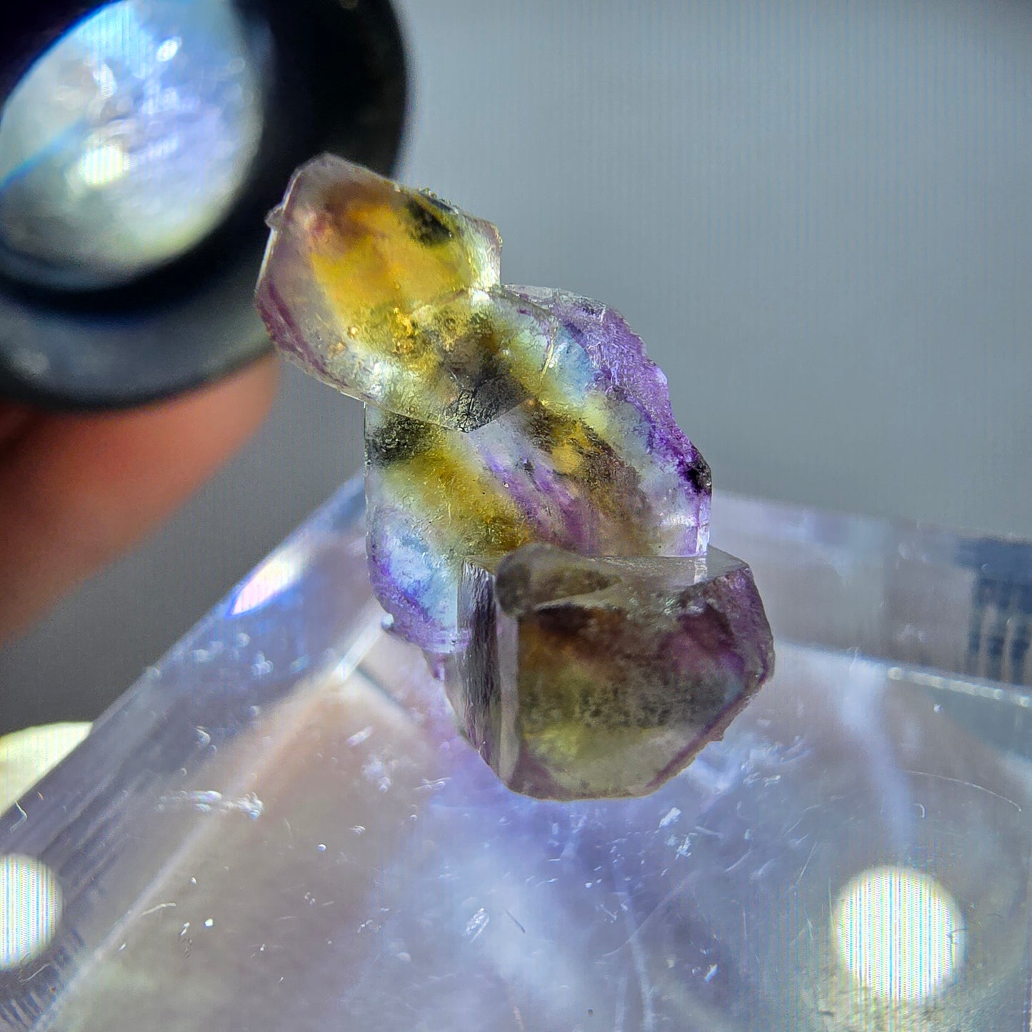 Seltene Phantom Fluorit Würfel Stufe, lila grün gelb Erongo, Namibia 18*10*9mm