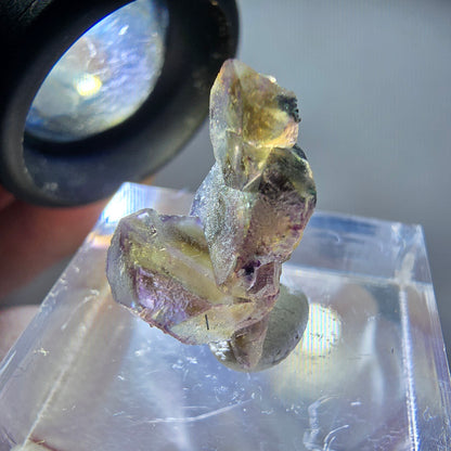 Seltene Phantom Fluorit Würfel Stufe, lila grün gelb Erongo, Namibia 18*10*9mm