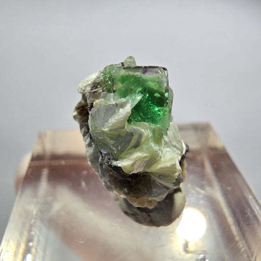 Sehr klare Phantom Fluorit Würfel, Muskovit, Hyalit Stufe Erongo, Namibia 15*12*11mm