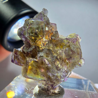 Seltene Phantom Fluorit Würfel Stufe, lila grün gelb Erongo, Namibia 24*20*10mm