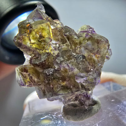 Seltene Phantom Fluorit Würfel Stufe, lila grün gelb Erongo, Namibia 24*20*10mm