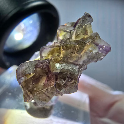 Seltene Phantom Fluorit Würfel Stufe, lila grün gelb Erongo, Namibia 24*20*10mm