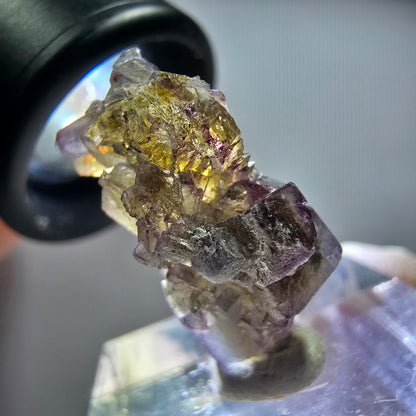Seltene Phantom Fluorit Würfel Stufe, lila grün gelb Erongo, Namibia 24*20*10mm