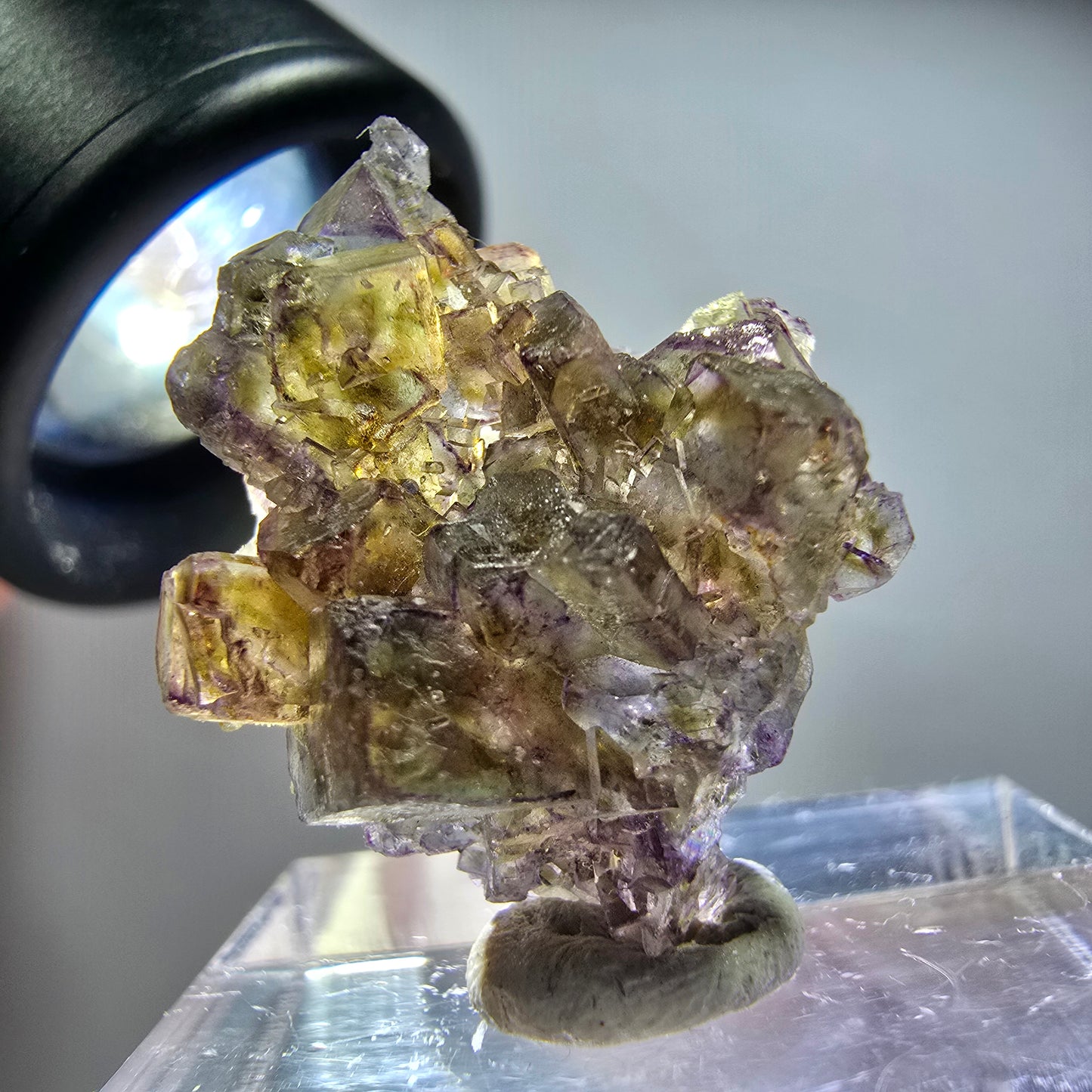 Seltene Phantom Fluorit Würfel Stufe, lila grün gelb Erongo, Namibia 24*20*10mm