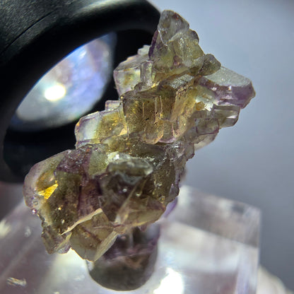 Seltene Phantom Fluorit Würfel Stufe, lila grün gelb Erongo, Namibia 24*20*10mm