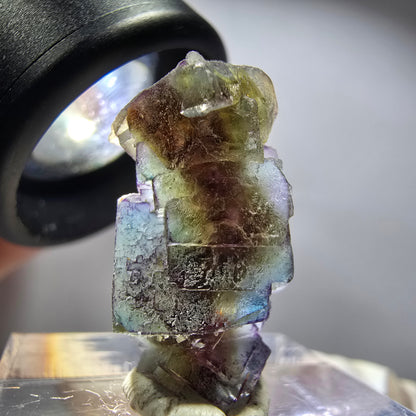 Seltene Phantom Fluorit Würfel Stufe, lila grün gelb, braun Erongo, Namibia 24*12*11mm