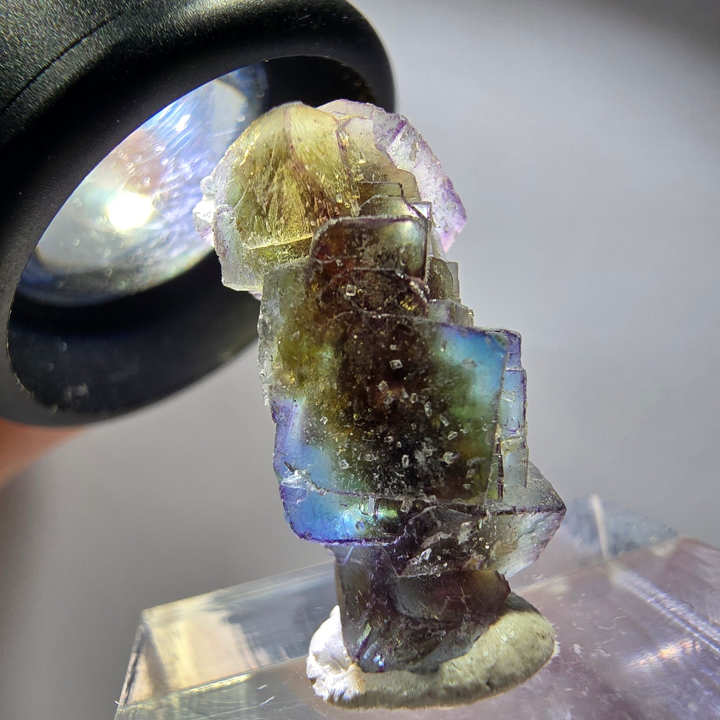 Seltene Phantom Fluorit Würfel Stufe, lila grün gelb, braun Erongo, Namibia 24*12*11mm