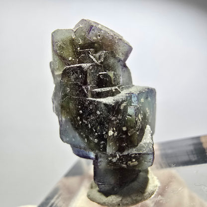 Seltene Phantom Fluorit Würfel Stufe, lila grün gelb, braun Erongo, Namibia 24*12*11mm