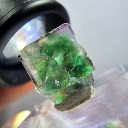 Cube de fluorite fantôme transparente, zonale, muscovite, tourmaline schorl, Erongo, Namibie, 13*12*9 mm 
