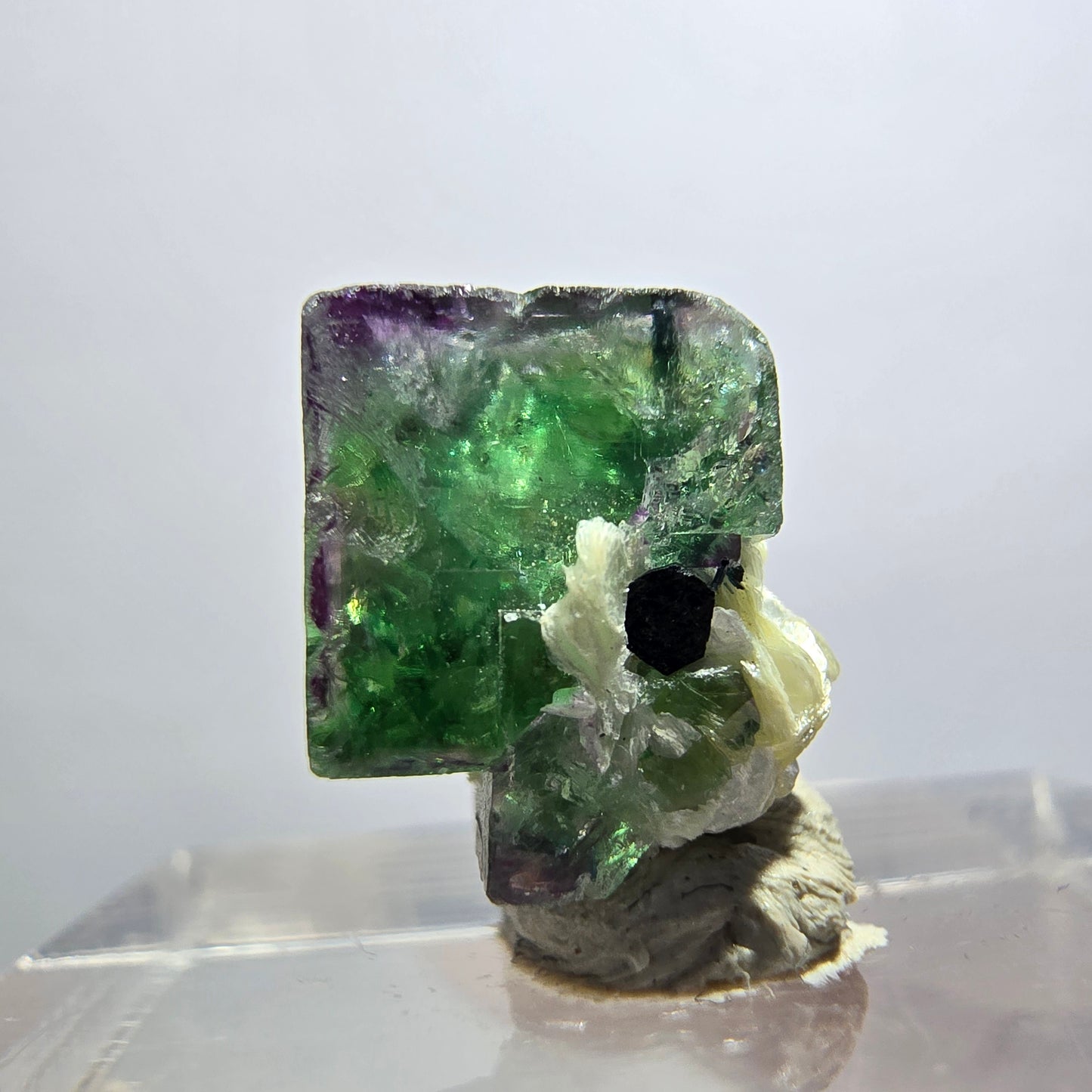 Cube de fluorite fantôme transparente, zonale, muscovite, tourmaline schorl, Erongo, Namibie, 13*12*9 mm 