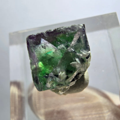 Cube de fluorite fantôme transparente, zonale, muscovite, tourmaline schorl, Erongo, Namibie, 13*12*9 mm 