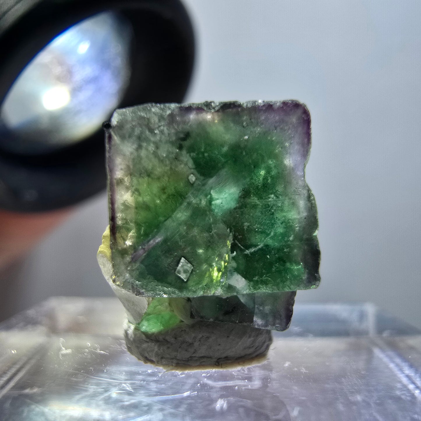 Cube de fluorite fantôme transparente, zonale, muscovite, tourmaline schorl, Erongo, Namibie, 13*12*9 mm 