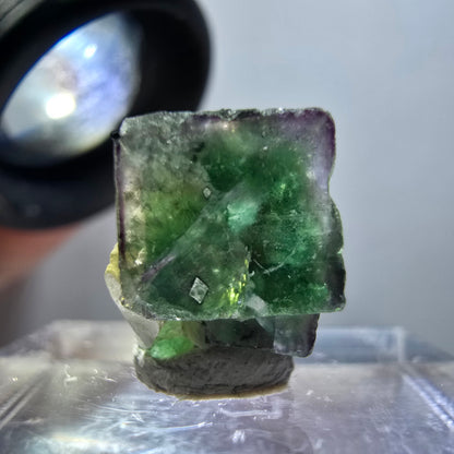 Cube de fluorite fantôme transparente, zonale, muscovite, tourmaline schorl, Erongo, Namibie, 13*12*9 mm 