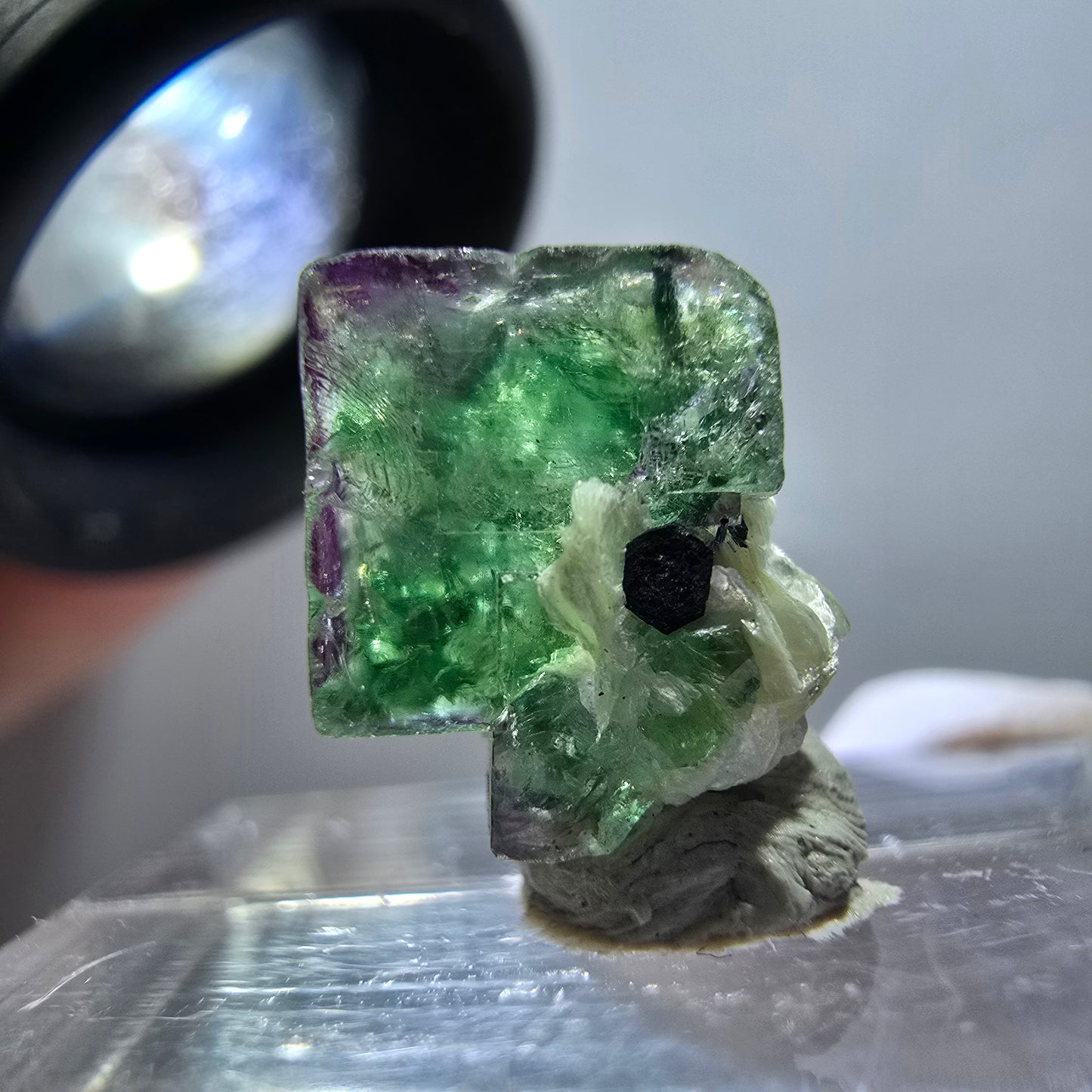 Cube de fluorite fantôme transparente, zonale, muscovite, tourmaline schorl, Erongo, Namibie, 13*12*9 mm 