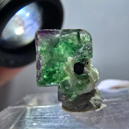 Cube de fluorite fantôme transparente, zonale, muscovite, tourmaline schorl, Erongo, Namibie, 13*12*9 mm 