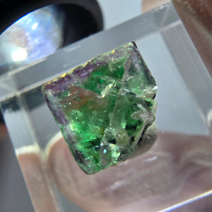 Cube de fluorite fantôme transparente, zonale, muscovite, tourmaline schorl, Erongo, Namibie, 13*12*9 mm 