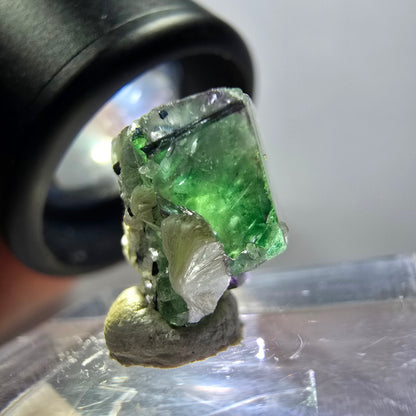 Cube de fluorite fantôme transparente, zonale, muscovite, tourmaline schorl, Erongo, Namibie, 13*12*9 mm 