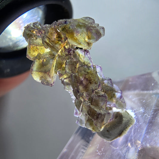 Seltene Phantom Fluorit Würfel Stufe, lila grün gelb Erongo, Namibia 25*13*11mm
