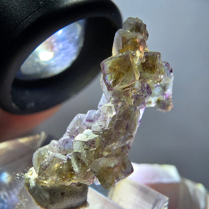 Rare phantom fluorite cube specimen, purple, green, yellow, Erongo, Namibia, 25*13*11mm 