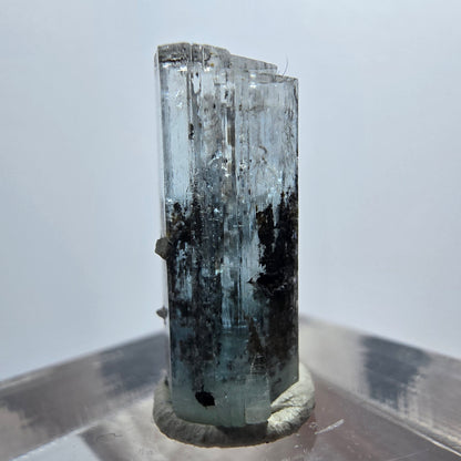 Sehr klare Aquamarin XX blau, Schörl Turmalin Stufe Erongo, Namibia 18*8*6mm