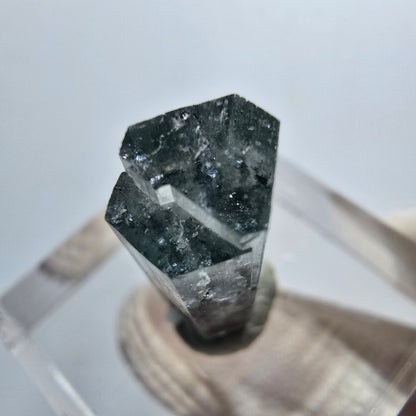 Sehr klare Aquamarin XX blau, Schörl Turmalin Stufe Erongo, Namibia 18*8*6mm