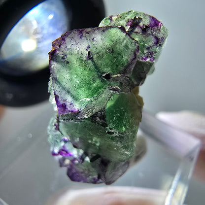 Rare phantom fluorite, zonal, schorl tourmaline, muscovite specimen Erongo, Namibia 24*13*11mm 