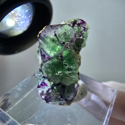 Rare phantom fluorite, zonal, schorl tourmaline, muscovite specimen Erongo, Namibia 24*13*11mm 