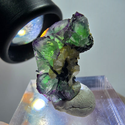 Rare phantom fluorite, zonal, schorl tourmaline, muscovite specimen Erongo, Namibia 24*13*11mm 