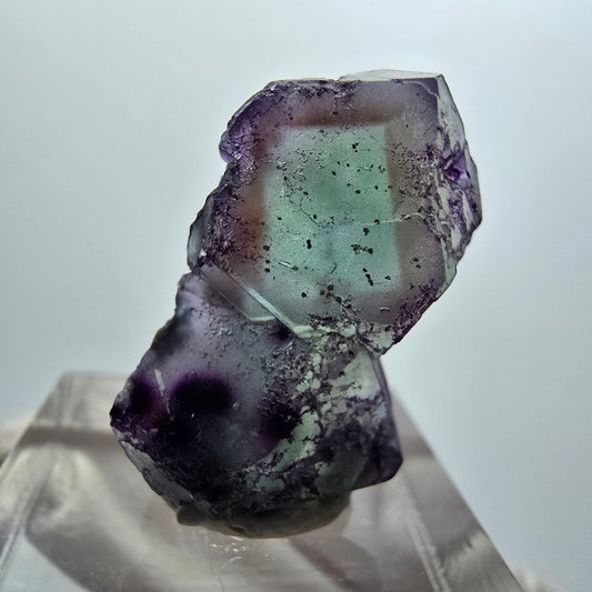 Seltene Phantom Fluorit Würfel Stufe, lila grün braun Erongo, Namibia 26*16*9mm