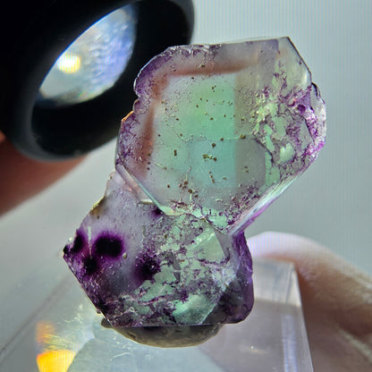 Seltene Phantom Fluorit Würfel Stufe, lila grün braun Erongo, Namibia 26*16*9mm