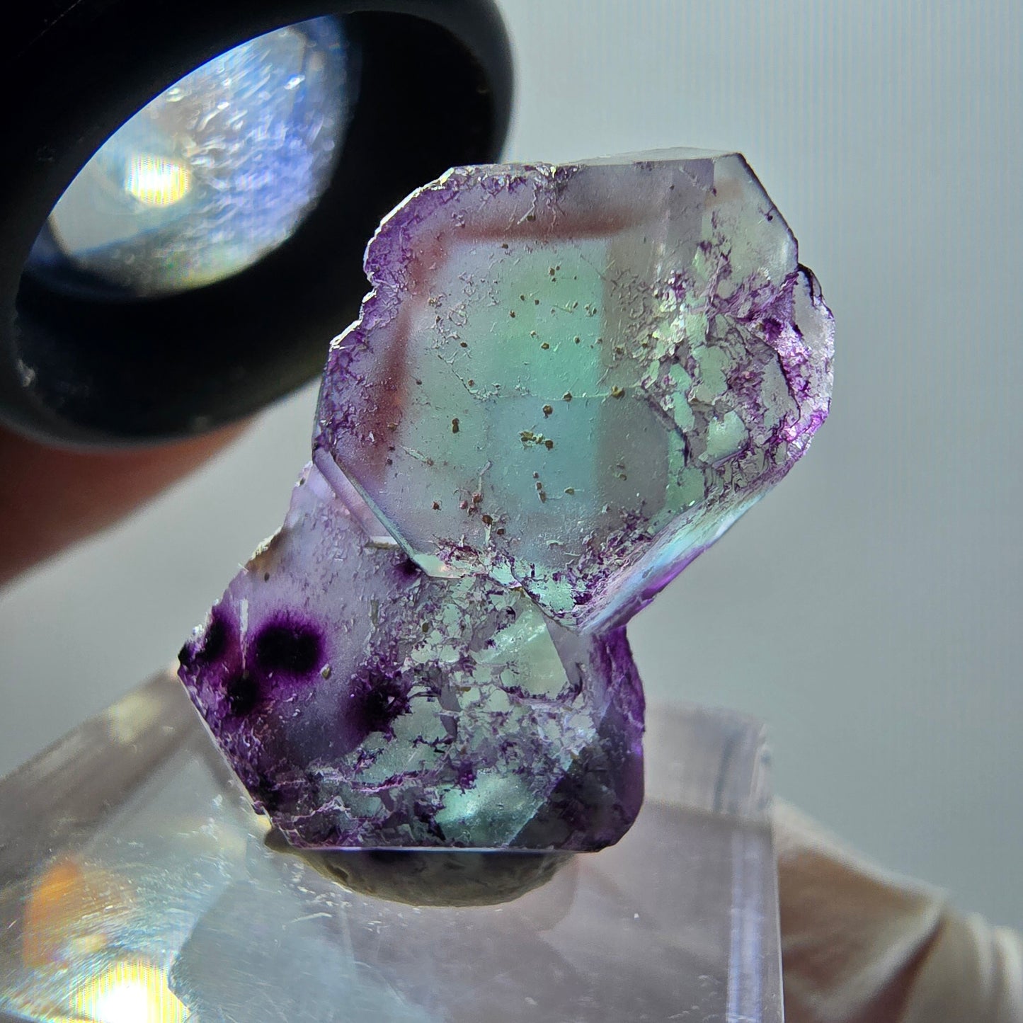 Seltene Phantom Fluorit Würfel Stufe, lila grün braun Erongo, Namibia 26*16*9mm