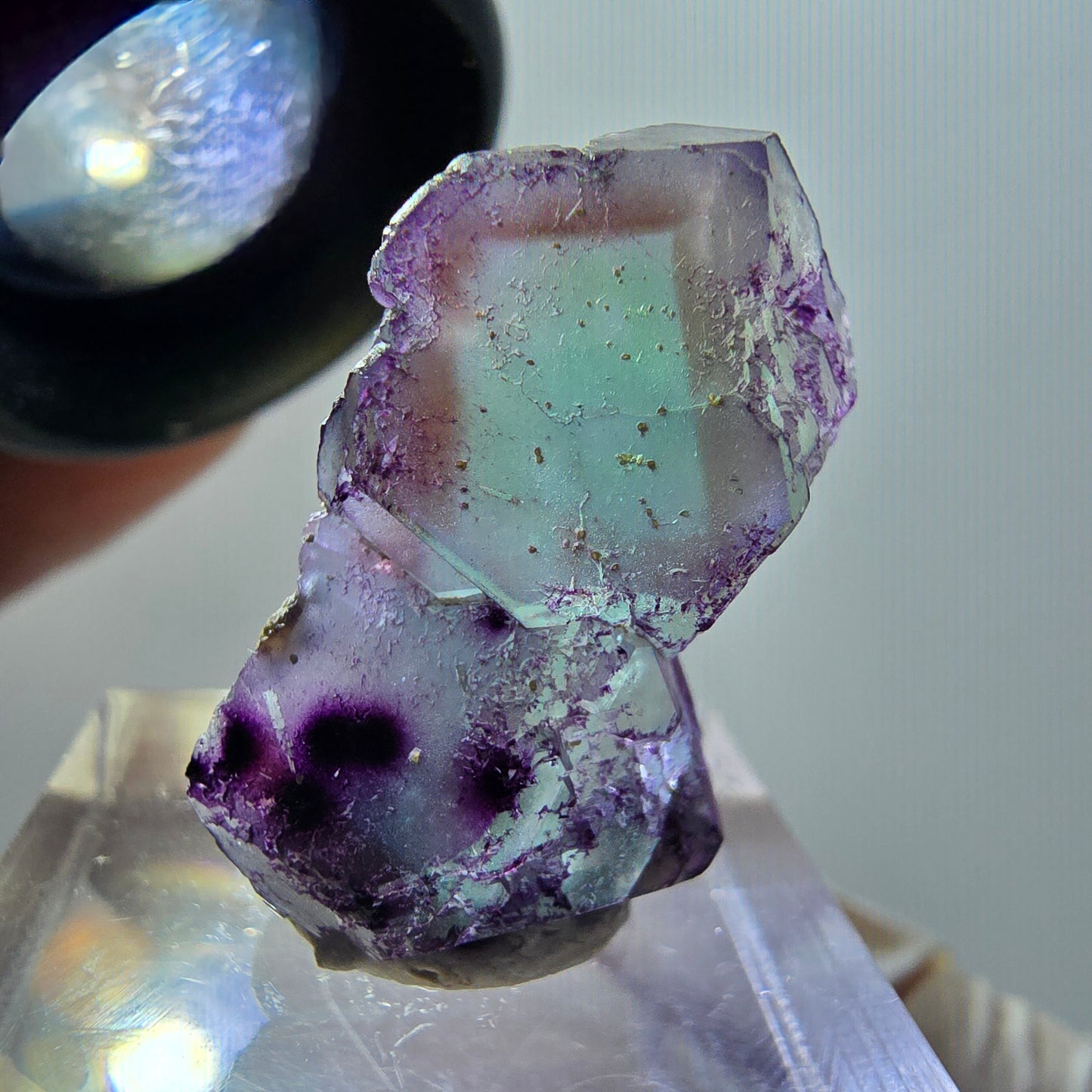 Seltene Phantom Fluorit Würfel Stufe, lila grün braun Erongo, Namibia 26*16*9mm