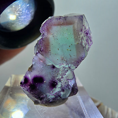 Seltene Phantom Fluorit Würfel Stufe, lila grün braun Erongo, Namibia 26*16*9mm