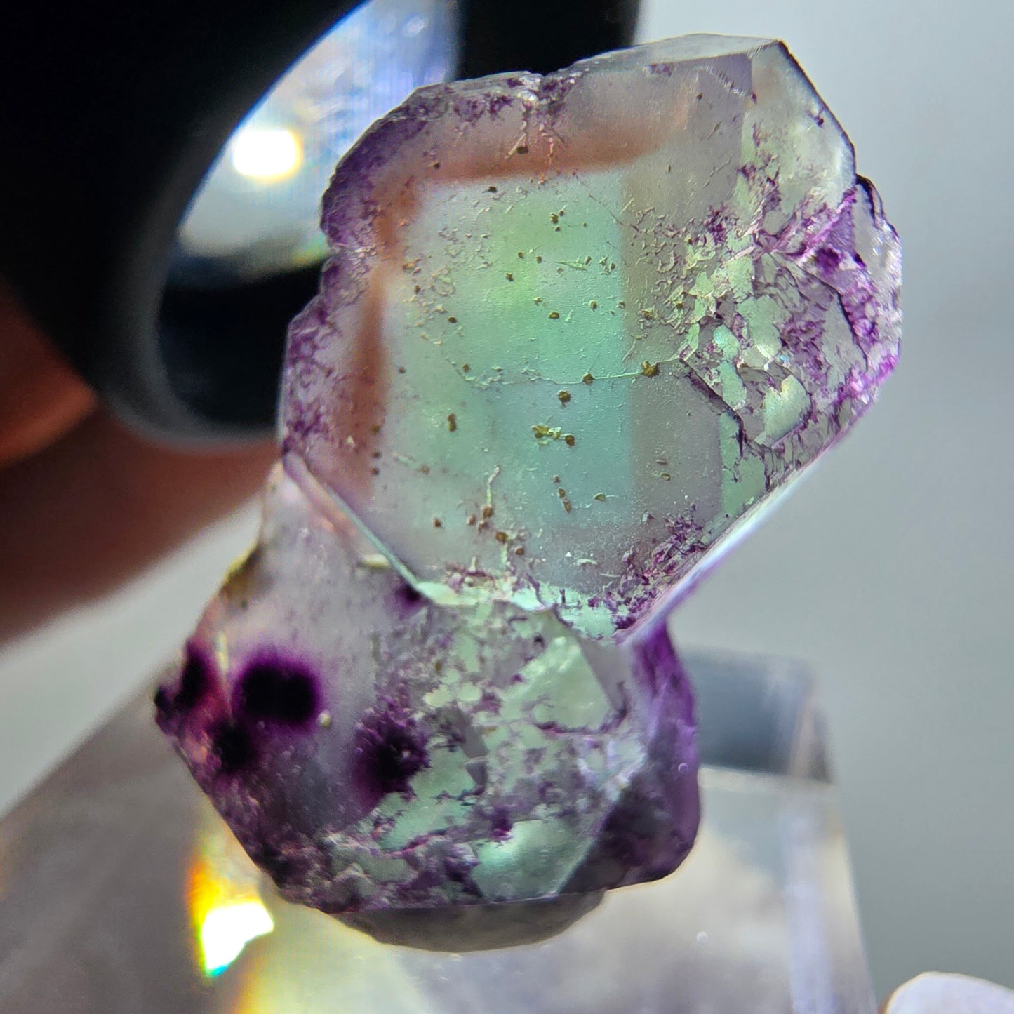 Seltene Phantom Fluorit Würfel Stufe, lila grün braun Erongo, Namibia 26*16*9mm