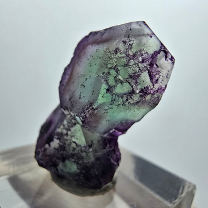 Seltene Phantom Fluorit Würfel Stufe, lila grün braun Erongo, Namibia 26*16*9mm
