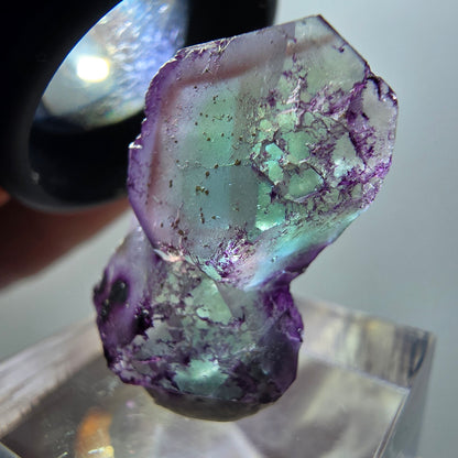 Seltene Phantom Fluorit Würfel Stufe, lila grün braun Erongo, Namibia 26*16*9mm